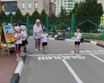 img (8)